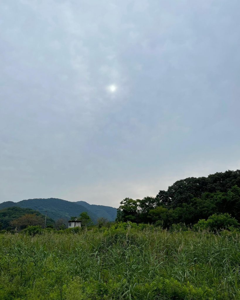 おはようございます曇天の空模様からのスタートですが心は毎日ワクワクしています♪本日9月13日のお品書きです