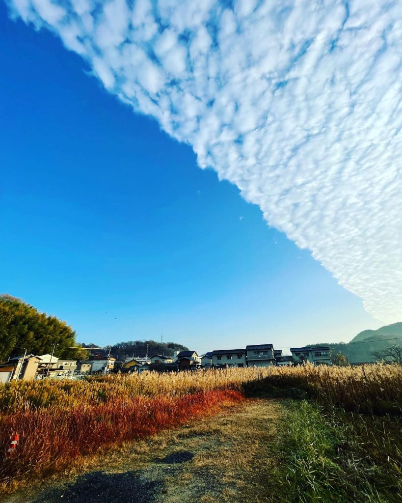 おはようございます雲と青空の境目?この遥か上空に前澤さんが居ると考えると不思議な気持ちになった️